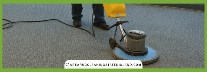 Professional Carpet Cleaning Process